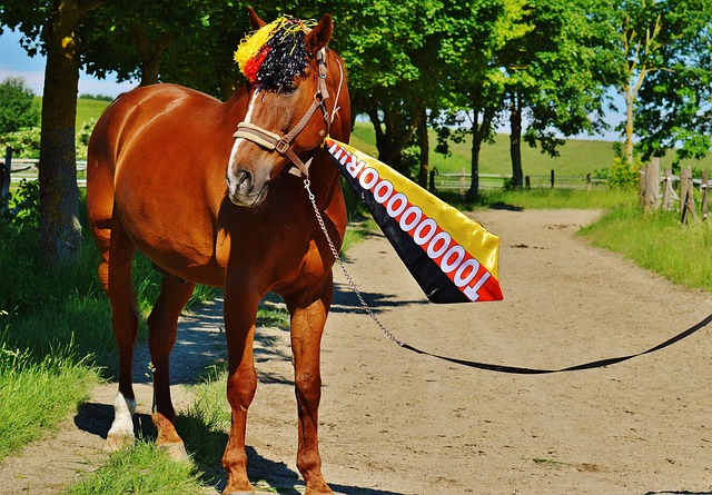 姆巴佩搅局死亡组！世界杯抽签出炉！阿根廷葡萄牙上签,美国好签